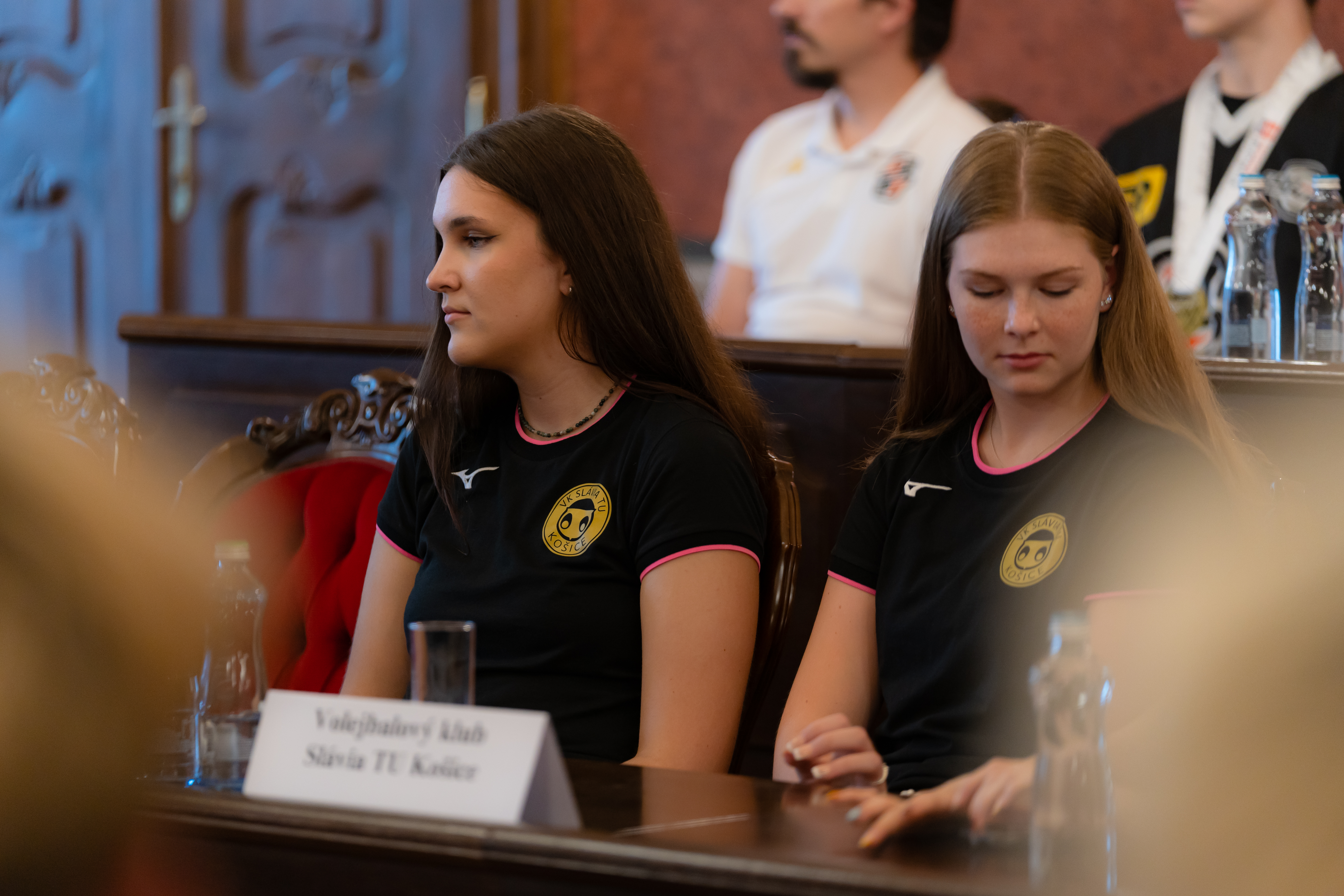 Prijatie sportovcov -15